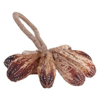 Dekofrucht Seeds Strick Mahagoni